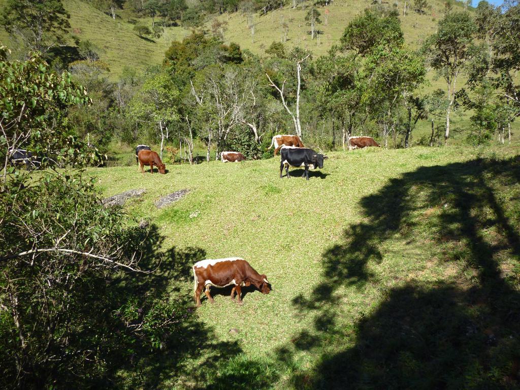 Apartamento Ferias Fazenda Usina 1 Bocaina de Minas Kültér fotó