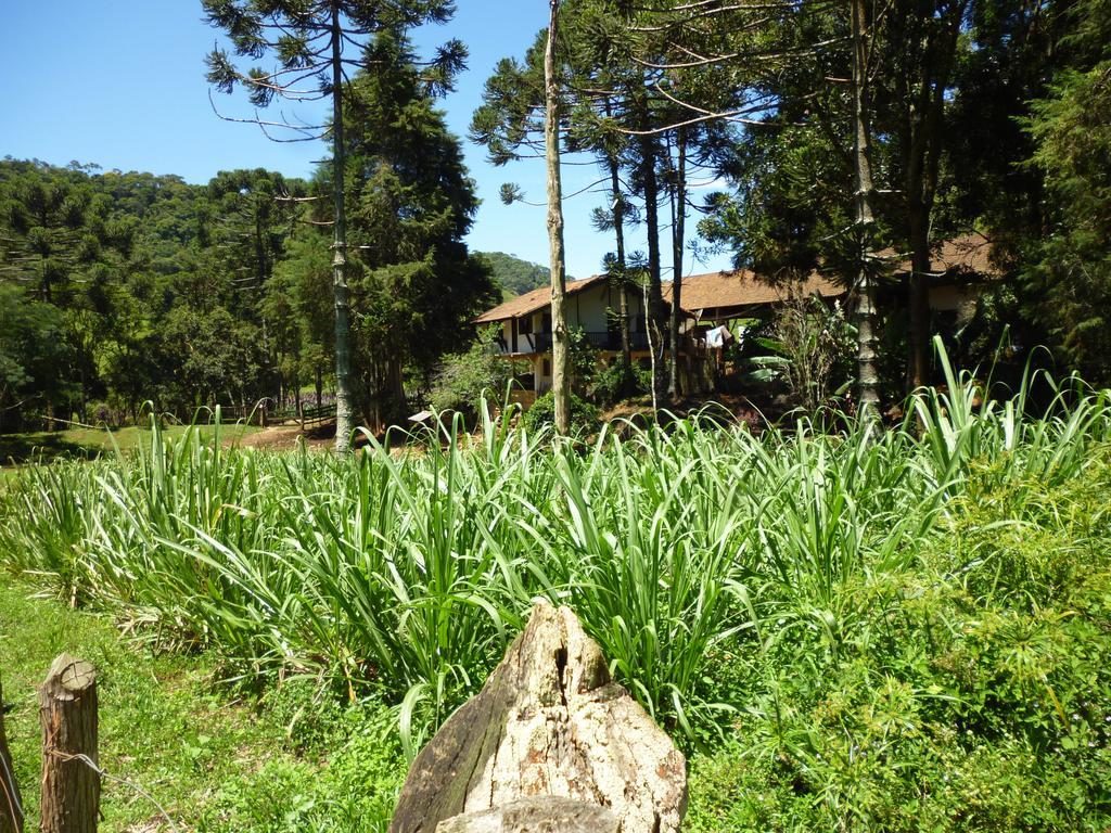 Apartamento Ferias Fazenda Usina 1 Bocaina de Minas Kültér fotó
