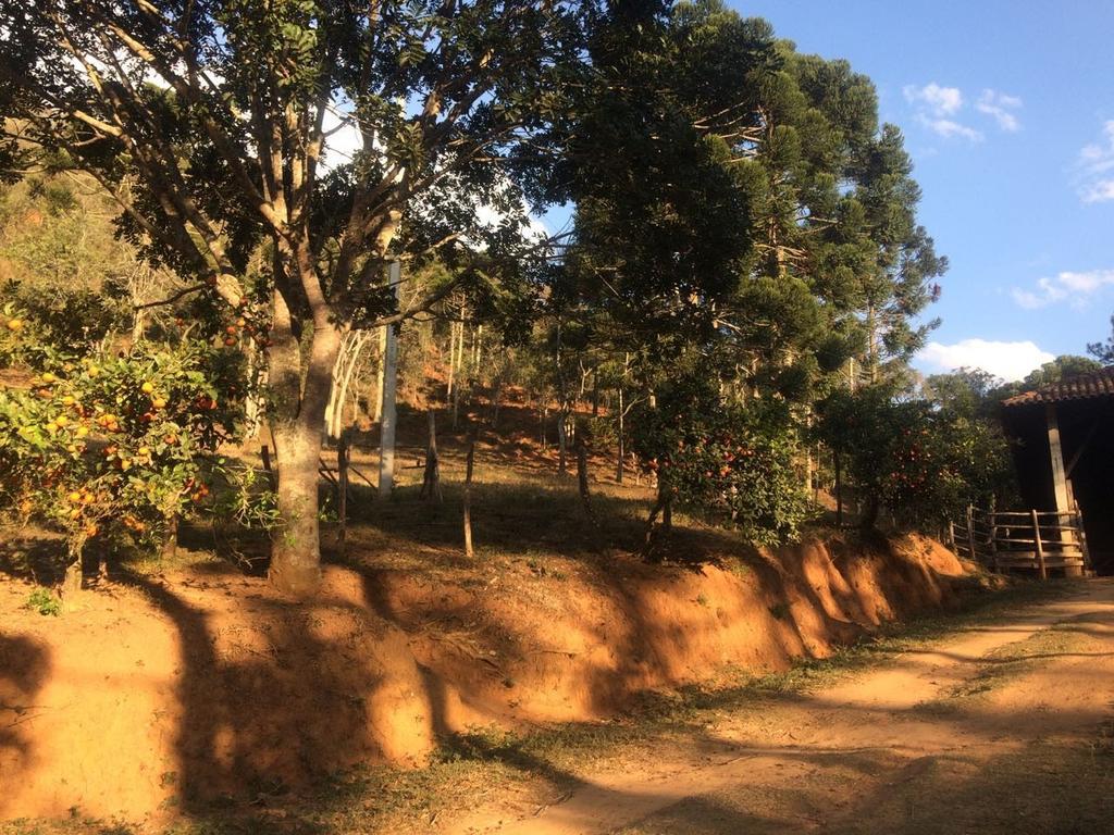 Apartamento Ferias Fazenda Usina 1 Bocaina de Minas Kültér fotó