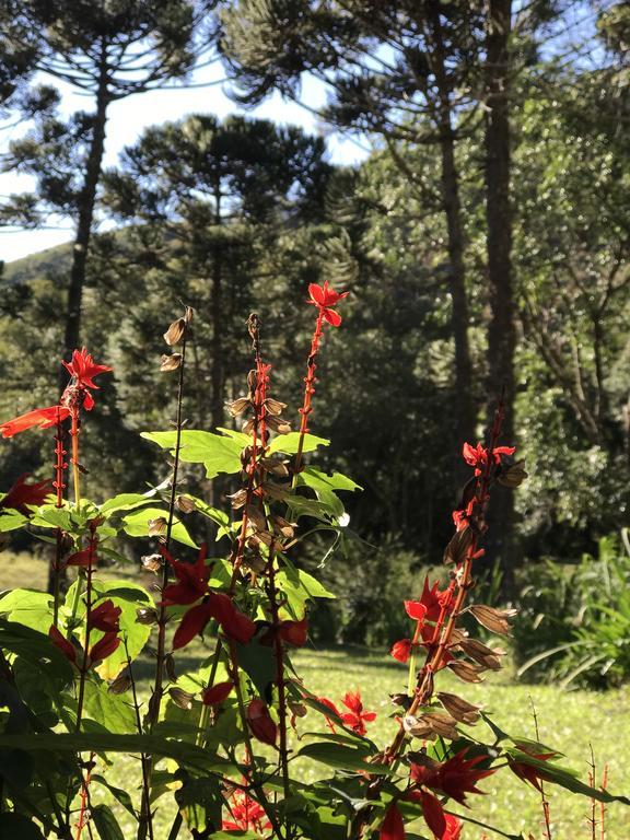 Apartamento Ferias Fazenda Usina 1 Bocaina de Minas Kültér fotó