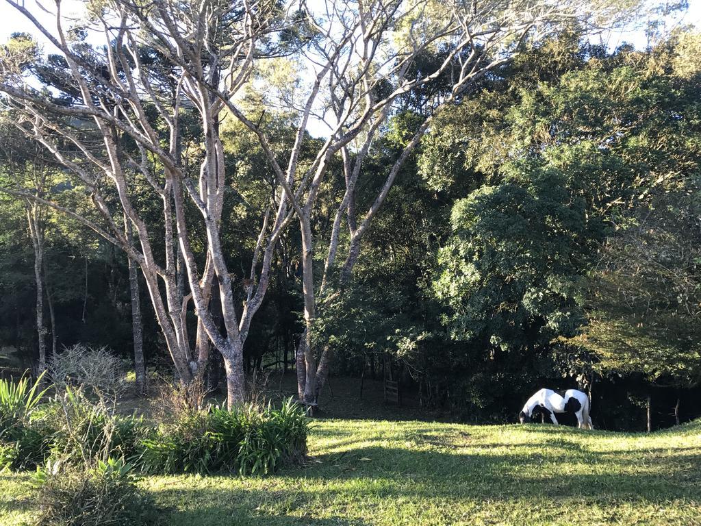 Apartamento Ferias Fazenda Usina 1 Bocaina de Minas Kültér fotó